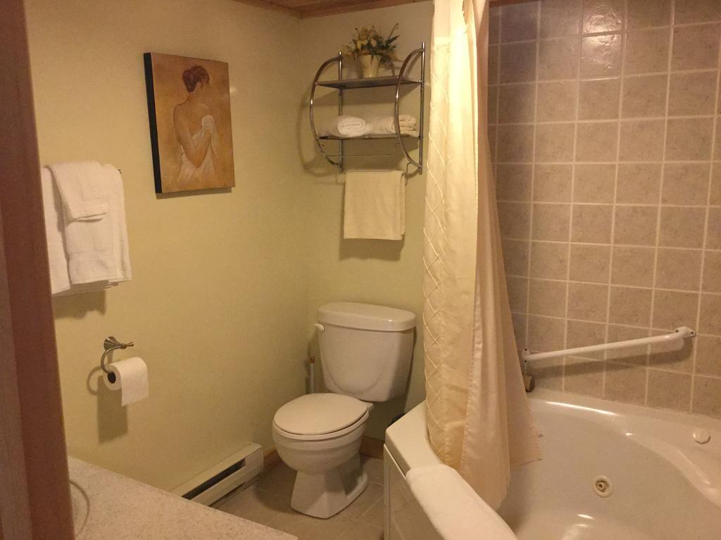 Mackenzie Motel & Cottages シェルバーン エクステリア 写真