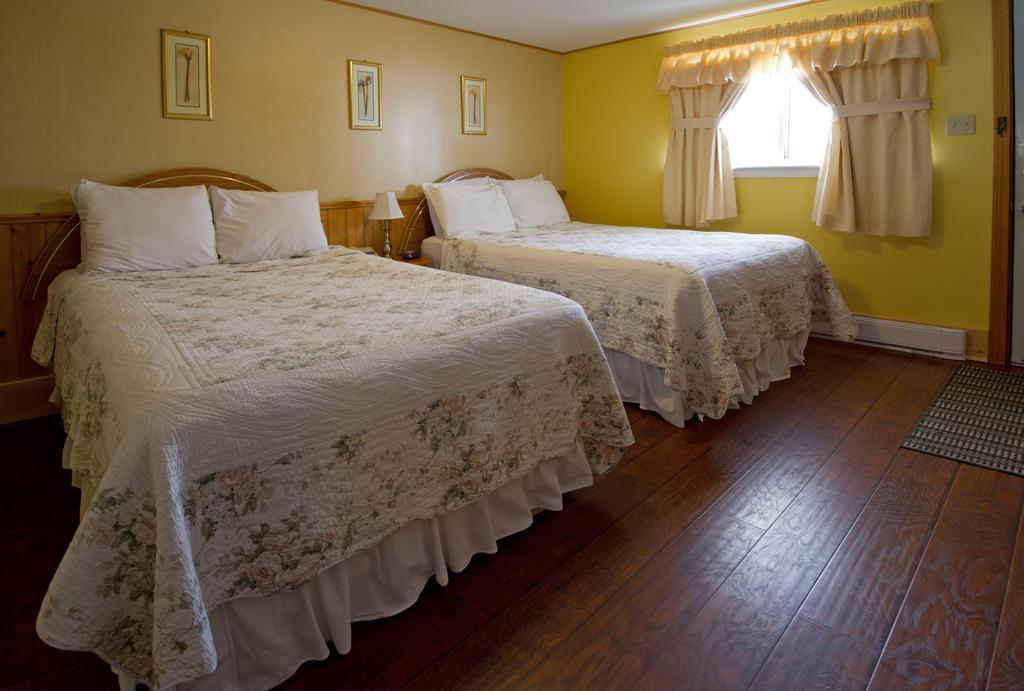 Mackenzie Motel & Cottages シェルバーン エクステリア 写真