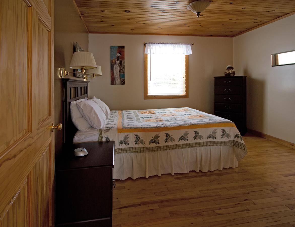 Mackenzie Motel & Cottages シェルバーン エクステリア 写真