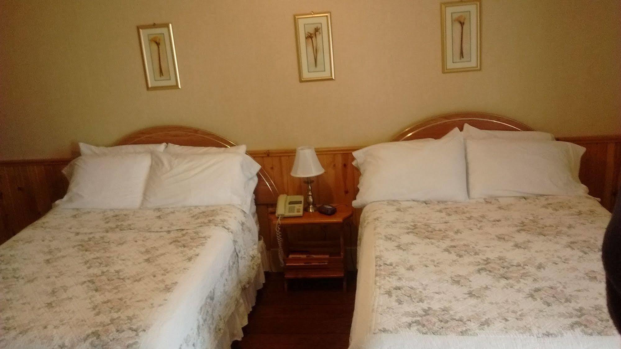 Mackenzie Motel & Cottages シェルバーン エクステリア 写真